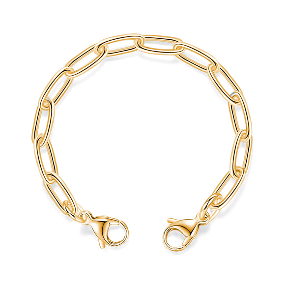 CK27-G Medical ID Stainless Gold Link Interchangeable Strand