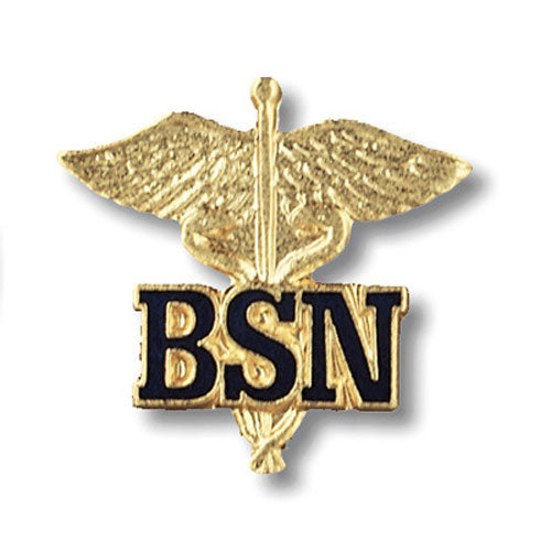 2011 Bachelor of Science in Nursing (Caduceus) Emblem Pin